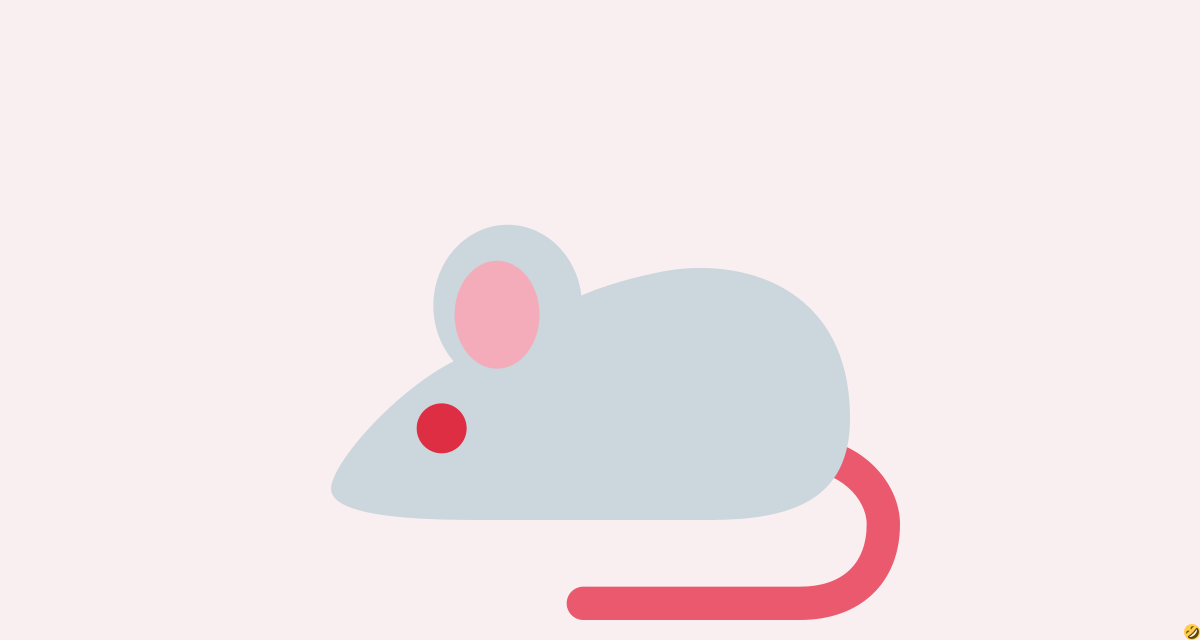 🐁